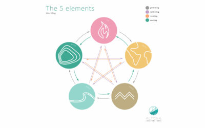 The 5 elements